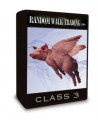 RandomWalkTrading - Online Coaching Program - Class 3