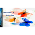 Option Elements - Iron Condors And Butterflies Class